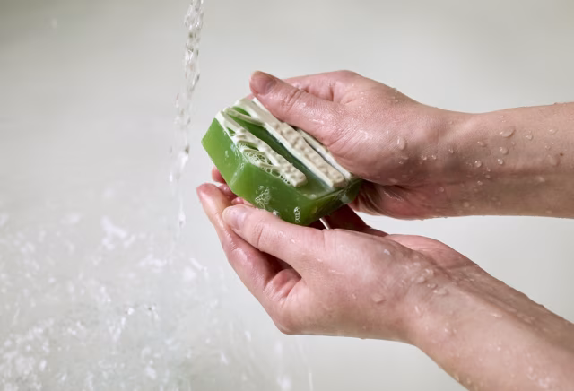 ČSO a Lush se spojují v kampani na záchranu mokřadů